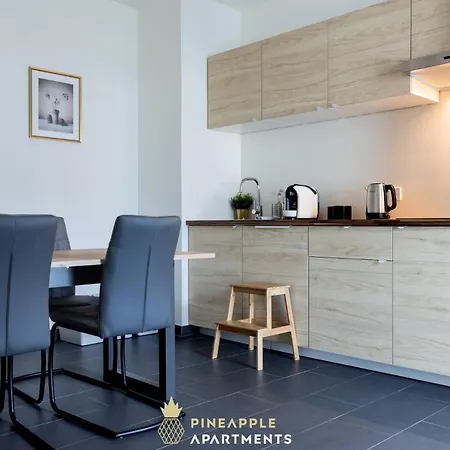 Pineapple - Altstadt V - 112qm - 1x Free Parking Daire
