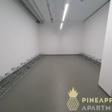 Pineapple Altstadt V - 112 Qm - 1x Free Parking Appartement *