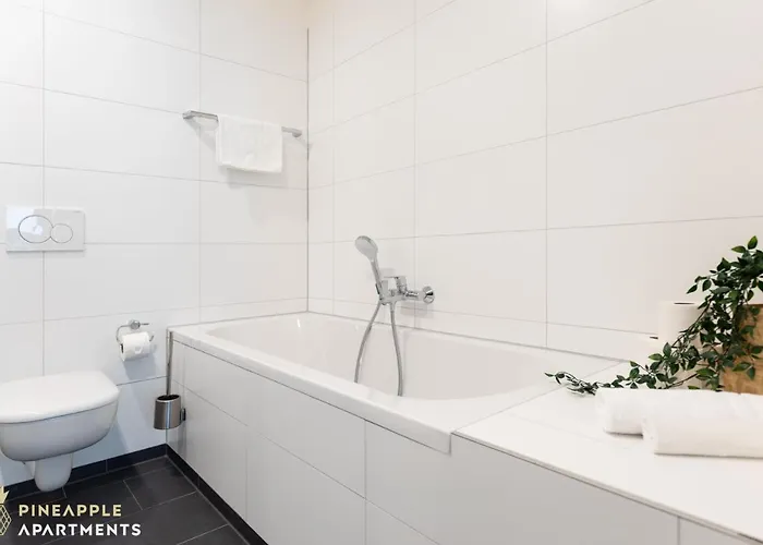 Pineapple Altstadt V - 112 Qm - 1x Free Parking * Dresden